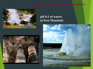 Περιβάλλοντα απομόνωσης οξεόφιλων
pH 0-1 of waters
at Iron Mountain
 
