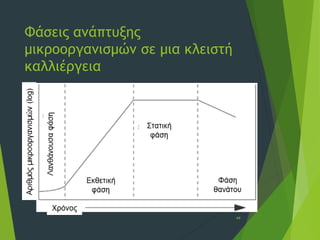 Φάσεις ανάπτυξης
μικροοργανισμών σε μια κλειστή
καλλιέργεια
44
 