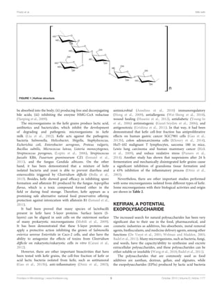 Prado et al. Milk keﬁr
FIGURE 1 | Keﬁran structure.
be absorbed into the body; (ii) producing free and deconjugating
bile acids; (iii) inhibiting the enzyme HMG-CoA reductase
(Yanping et al., 2009).
The microorganisms in the keﬁr grains produce lactic acid,
antibiotics and bactericides, which inhibit the development
of degrading and pathogenic microorganisms in keﬁr
milk (Liu et al., 2002). Keﬁr acts against the pathogenic
bacteria Salmonella, Helicobacter, Shigella, Staphylococcus,
Escherichia coli, Enterobacter aerogenes, Proteus vulgaris,
Bacillus subtilis, Micrococcus luteus, Listeria monocytogenes,
Streptococcus pyrogenes, (Lopitz et al., 2006), Streptococcus
faecalis KR6, Fusarium graminearum CZ1 (Ismaiel et al.,
2011), and the fungus Candida albicans. On the other
hand, it has been demonstrated that a mixture of keﬁr
isolated bacteria and yeast is able to prevent diarrhea and
enterocolitis triggered by Clostridium diﬃcile (Bolla et al.,
2013). Besides, keﬁr showed good eﬃcacy in inhibiting spore
formation and aﬂatoxin B1 produced by the fungus Aspergillus
ﬂavus, which is a toxic compound formed either in the
ﬁeld or during food storage. Therefore, keﬁr appears as a
promising safe alternative natural food preservative oﬀering
protection against intoxication with aﬂatoxin B1 (Ismaiel et al.,
2011).
It had been proved that many species of lactobacilli
present in keﬁr have S-layer proteins. Surface layers (S-
layers) can be aligned in unit cells on the outermost surface
of many prokaryotic microorganisms (Mobili et al., 2009).
It has been demonstrated that these S-layer proteins can
apply a protective action inhibiting the grown of Salmonella
enterica serovar Enteritidis in Caco-2 cells, and also have the
ability to antagonize the eﬀects of toxins from Clostridium
diﬃcile on eukaryotic/eukaryotic cells in vitro (Carasi et al.,
2012).
However, there are other important bioactivities that have
been tested with keﬁr grains, the cell-free fraction of keﬁr or
acid lactic bacteria isolated from keﬁr, such as antitumoral
(Gao et al., 2013b), anti-inﬂammatory (Diniz et al., 2003),
antimicrobial (Anselmo et al., 2010) immunoregulatory
(Hong et al., 2009), antiallergenic (Wei-Sheng et al., 2010),
wound healing (Huseini et al., 2012), antidiabetic (Young-In
et al., 2006) antimutagenic (Guzel-Seydim et al., 2006), and
antigenotoxic (Grishina et al., 2011). In that way, it had been
demonstrated that keﬁr cell-free fraction has antiproliferative
eﬀects on human gastric cancer SGC7901 cells (Gao et al.,
2013b), colon adenocarcinoma cells (Khoury et al., 2014),
HuT–102 malignant T lymphocytes, sarcoma 180 in mice,
Lewis lung carcinoma and human mammary cancer (Rizk
et al., 2009), and reduce oxidative stress (Punaro et al.,
2014). Another study has shown that suspensions after 24 h
fermentation and mechanically disintegrated keﬁr grains cause
a signiﬁcant inhibition of granuloma tissue formation and
a 43% inhibition of the inﬂammatory process (Diniz et al.,
2003).
Nevertheless, there are other important studies performed
with some microorganisms isolated from diﬀerent types of keﬁr.
Some microorganisms with their biological activities and origin
are shown in Table 2.
KEFIRAN, A POTENTIAL
EXOPOLYSACCHARIDE
The increased search for natural polysaccharides has been very
signiﬁcant due to their use in the food, pharmaceutical, and
cosmetic industries as additives, bio-absorbents, metal removal
agents, bioﬂocculants, and medicine delivery agents, among other
functions (De Vuyst et al., 2001; Welman and Maddox, 2003;
Badel et al., 2011). Many microorganisms, such as bacteria, fungi,
and weeds, have the capacity/ability to synthesize and excrete
extracellular polysaccharides, and these polysaccharides can be
either soluble or insoluble (Wang et al., 2010; Badel et al., 2011).
The polysaccharides that are commonly used as food
additives are xanthan, dextran, gellan, and alginates, while
the exopolysaccharides (EPSs) produced by lactic acid bacteria
Frontiers in Microbiology | www.frontiersin.org 5 October 2015 | Volume 6 | Article 1177
 