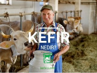 KEFIRNEDIR?
kefirci.com
 