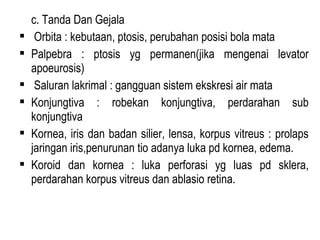






c. Tanda Dan Gejala
Orbita : kebutaan, ptosis, perubahan posisi bola mata
Palpebra : ptosis yg permanen(jika mengenai levator
apoeurosis)
Saluran lakrimal : gangguan sistem ekskresi air mata
Konjungtiva : robekan konjungtiva, perdarahan sub
konjungtiva
Kornea, iris dan badan silier, lensa, korpus vitreus : prolaps
jaringan iris,penurunan tio adanya luka pd kornea, edema.
Koroid dan kornea : luka perforasi yg luas pd sklera,
perdarahan korpus vitreus dan ablasio retina.

 