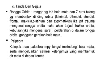 c. Tanda Dan Gejala
 Rongga Orbita : rongga yg tdd bola mata dan 7 ruas tulang
yg membentuk dinding orbita (lakrimal, ethmoid, sfenoid,
frontal, maksila,platinum dan zigomatikus).jika pd trauma
mengenai rongga orbita maka akan terjadi fraktur orbita,
kebutaan(jika mengenai saraf), perdarahan di dalam rongga
orbita, gangguan gerakan bola mata.

 Palpebra
Kelopak atau palpebra mpy fungsi melindungi bola mata,
serta mengeluarkan sekresi kelenjarnya yang membentuk
air mata di depan kornea.

 