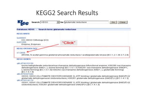 KEGG2 Search Results
 