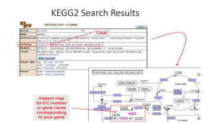 KEGG2 Search Results
 