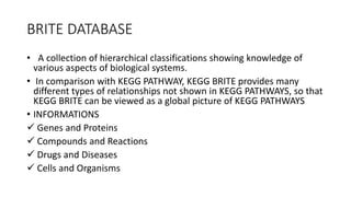 Kegg | PPTX