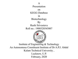 A
Presentation
on
KEGG Database
in
Biotechnology
By
Rashi Srivastava
Roll no.: 1900520545007
Institute of Engineering & Technology
An Autonomous Constituent Institute of Dr A.P.J. Abdul
Kalam Technical University ,
Lucknow, U.P.
February, 2020
 