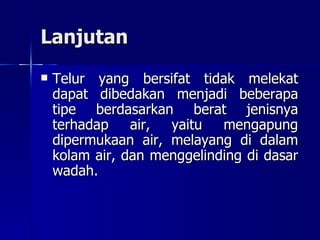 Lanjutan Telur yang bersifat tidak melekat dapat dibedakan menjadi beberapa tipe berdasarkan berat jenisnya terhadap air, yaitu mengapung dipermukaan air, melayang di dalam kolam air, dan menggelinding di dasar wadah. 