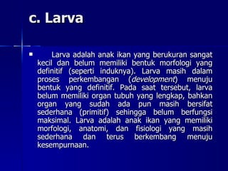 c. Larva Larva adalah anak ikan yang berukuran sangat kecil dan belum memiliki bentuk morfologi yang definitif (seperti induknya). Larva masih dalam proses perkembangan ( development ) menuju bentuk yang definitif. Pada saat tersebut, larva belum memiliki organ tubuh yang lengkap, bahkan organ yang sudah ada pun masih bersifat sederhana (primitif) sehingga belum berfungsi maksimal. Larva adalah anak ikan yang memiliki morfologi, anatomi, dan fisiologi yang masih sederhana dan terus berkembang menuju kesempurnaan. 