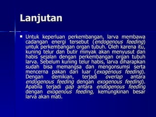 Lanjutan Untuk keperluan perkembangan, larva membawa cadangan energi tersebut ( endogenous feeding ) untuk perkembangan organ tubuh. Oleh karena itu, kuning telur dan butir minyak akan menyusut dan habis sejalan dengan perkembangan organ tubuh larva. Sebelum kuning telur habis, larva diharapkan sudah bisa memangsa dan mengonsumsi serta mencerna pakan dari luar ( exogenous feeding ). Dengan demikian, terjadi  overlap  antara  endogenous feeding  dengan  exogenous feeding ). Apabila terjadi  gap  antara  endogenous feeding  dengan  exogenous feeding,  kemungkinan besar larva akan mati.  