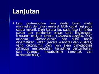 Lanjutan Laju pertumbuhan ikan stadia benih mulai meningkat dan akan melesat lebih cepat lagi pada stadia juvenil. Oleh karena itu, pada fase ini faktor pakan dan pemberian pakan serta lingkungan, terutama oksigen terlarut ( dissolved oxygen,  DO), amoniak, karbondioksida dan suhu harus diperhatikan. Pakan (secara kuantitas dan kualitas) yang dikonsumsi oleh ikan akan dimetabolisir sehingga menyebabkan terjadinya pertumbuhan dan buangan metabolisme (amoniak dan karbondioksida).  