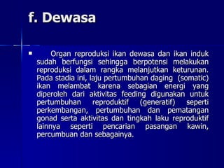 f. Dewasa Organ reproduksi ikan dewasa dan ikan induk sudah berfungsi sehingga berpotensi melakukan reproduksi dalam rangka melanjutkan keturunan. Pada stadia ini, laju pertumbuhan daging  (somatic) ikan melambat karena sebagian energi yang diperoleh dari aktivitas feeding digunakan untuk pertumbuhan reproduktif (generatif) seperti perkembangan, pertumbuhan dan pematangan gonad serta aktivitas dan tingkah laku reproduktif lainnya seperti pencarian pasangan kawin, percumbuan dan sebagainya.  