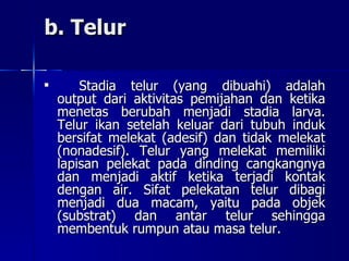 b. Telur Stadia telur (yang dibuahi) adalah output dari aktivitas pemijahan dan ketika menetas berubah menjadi stadia larva. Telur ikan setelah keluar dari tubuh induk bersifat melekat (adesif) dan tidak melekat (nonadesif). Telur yang melekat memiliki lapisan pelekat pada dinding cangkangnya dan menjadi aktif ketika terjadi kontak dengan air. Sifat pelekatan telur dibagi menjadi dua macam, yaitu pada objek (substrat) dan antar telur sehingga membentuk rumpun atau masa telur.  