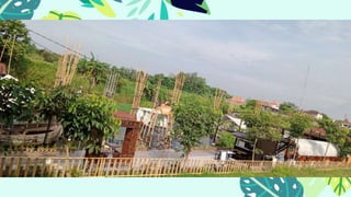 THANK YOU
T E M P L A T E
 