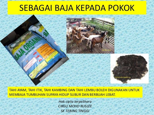 Kegunaan Haiwan