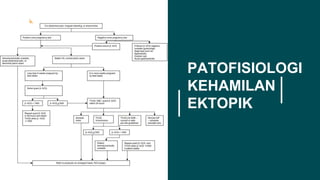 PATOFISIOLOGI
KEHAMILAN
EKTOPIK
 