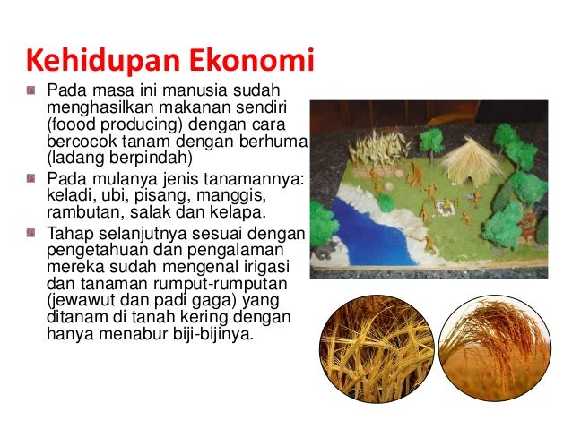 Keadaan Ekonomi Zaman Mesolithikum