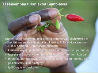 Tasaisempaa tulonjakoa Sambiassa
Suomi tukee ohjelmaa, joka tarjoaa perusturvaa köyhimmille ja
vähentää maan sisäisiä jyrkkiä tuloeroja. Tulonsiirtoja saa noin
190 000 perhettä. Perusturvan ansiosta:
• kaikkein köyhimpien sambialaisten elämänlaatu on parantunut
• lapset sairastavat vähemmän ja käyvät varmemmin koulua
• maatalouden tuottavuus on noussut ja karjaa on hankittu lisää
• paikallistalous on piristynyt
• työttömyys on laskenut
 