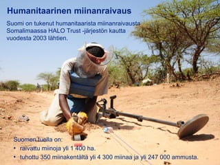 31.8.2016
Esityksen nimi / Tekijä 7
Humanitaarinen miinanraivaus
Suomi on tukenut humanitaarista miinanraivausta
Somalimaassa HALO Trust -järjestön kautta
vuodesta 2003 lähtien.
Suomen tuella on:
• raivattu miinoja yli 1 400 ha.
• tuhottu 350 miinakentältä yli 4 300 miinaa ja yli 247 000 ammusta.
 
