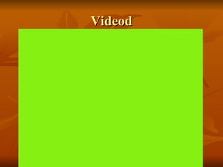 Videod 