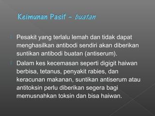  Pesakit yang terlalu lemah dan tidak dapat
menghasilkan antibodi sendiri akan diberikan
suntikan antibodi buatan (antiserum).
 Dalam kes kecemasan seperti digigit haiwan
berbisa, tetanus, penyakit rabies, dan
keracunan makanan, suntikan antiserum atau
antitoksin perlu diberikan segera bagi
memusnahkan toksin dan bisa haiwan.
 