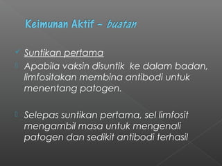  Suntikan pertama
 Apabila vaksin disuntik ke dalam badan,
limfositakan membina antibodi untuk
menentang patogen.
 Selepas suntikan pertama, sel limfosit
mengambil masa untuk mengenali
patogen dan sedikit antibodi terhasil
 