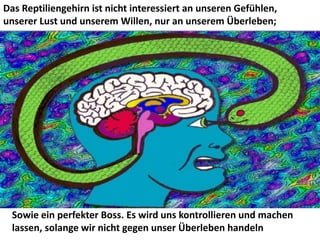 Das Reptiliengehirn ist nicht interessiert an unseren Gefühlen,
unserer Lust und unserem Willen, nur an unserem Überleben;
Sowie ein perfekter Boss. Es wird uns kontrollieren und machen
lassen, solange wir nicht gegen unser Überleben handeln
 