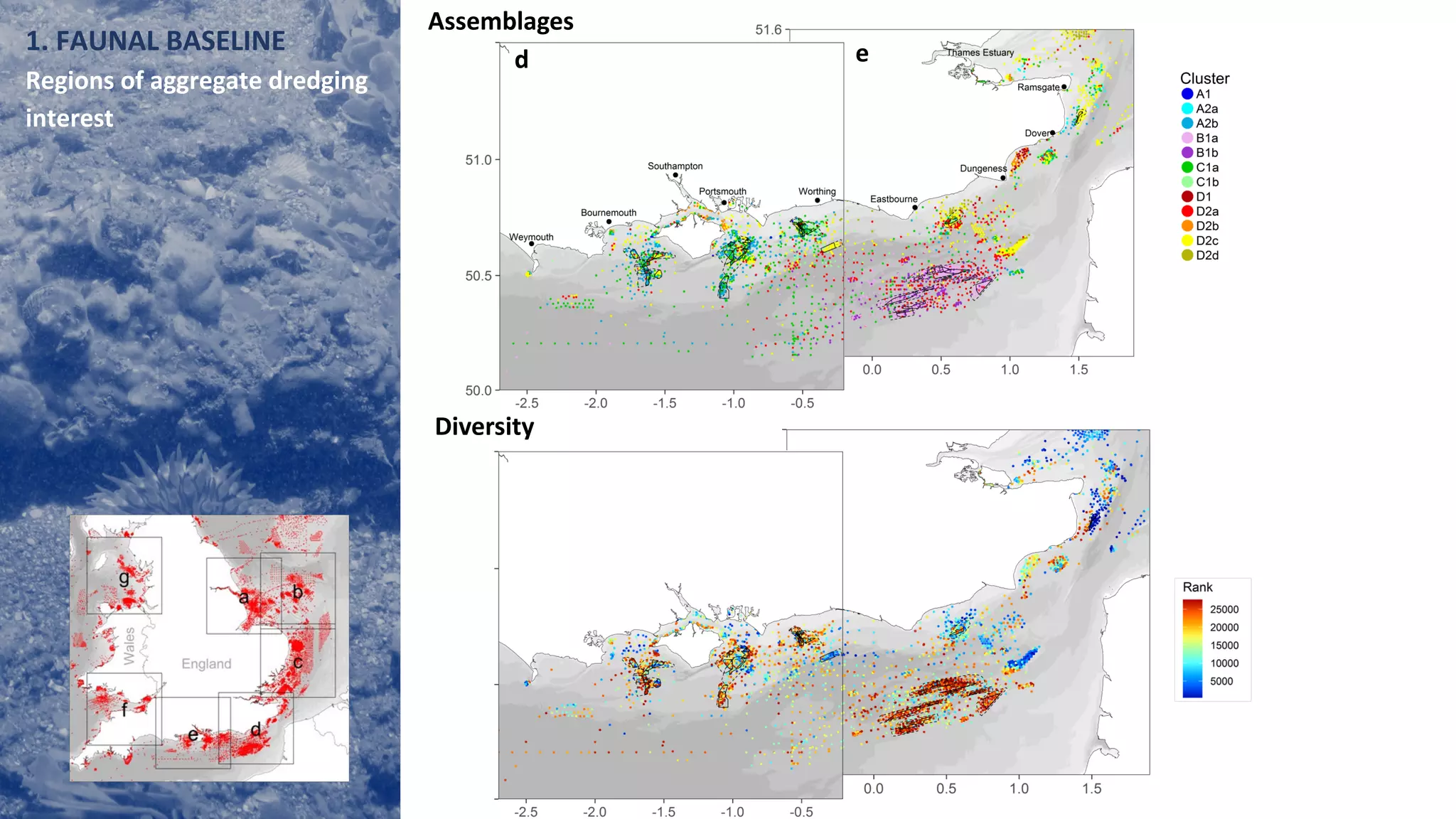 Assemblages
Diversity
d e1. FAUNAL BASELINE
Regions of aggregate dredging
interest
 