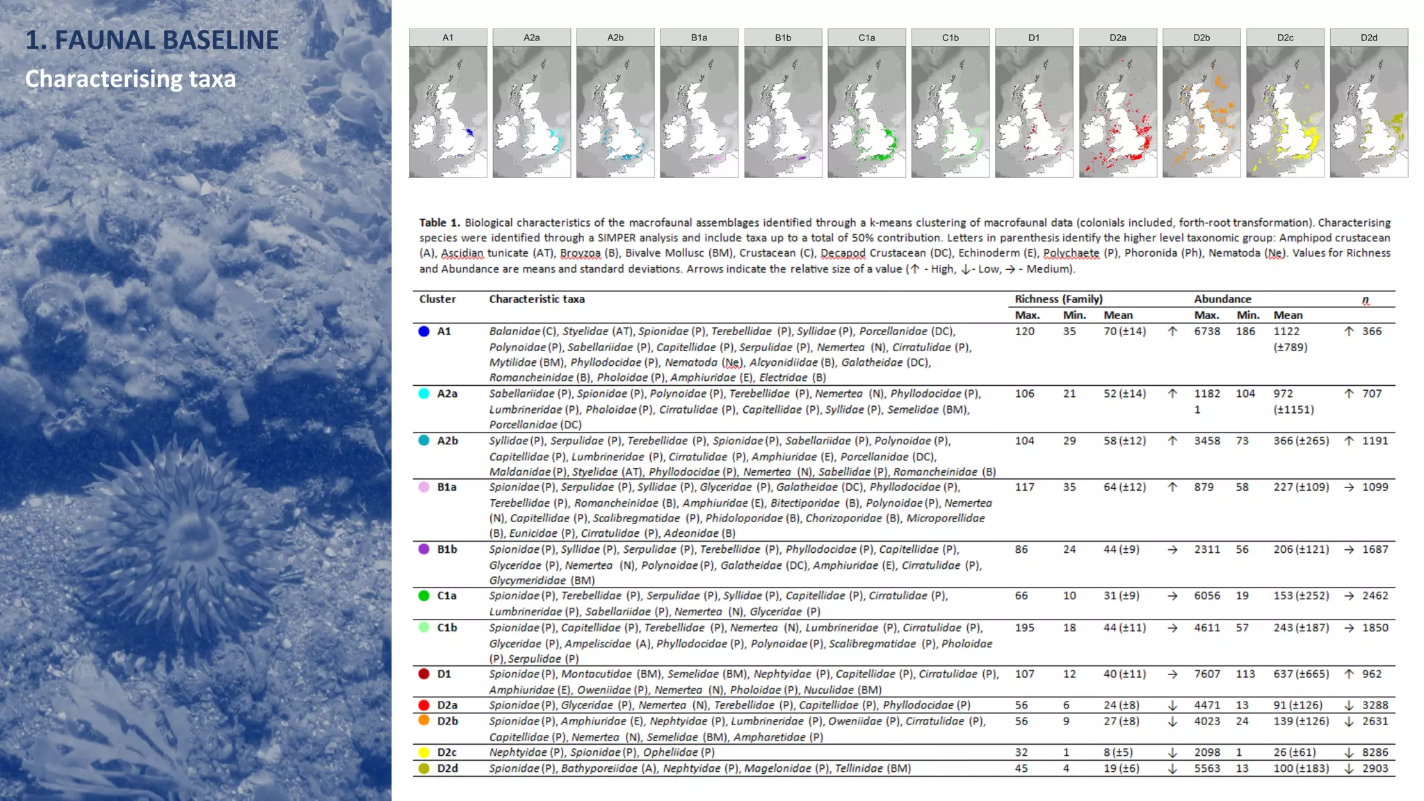 1. FAUNAL BASELINE
Characterising taxa
 