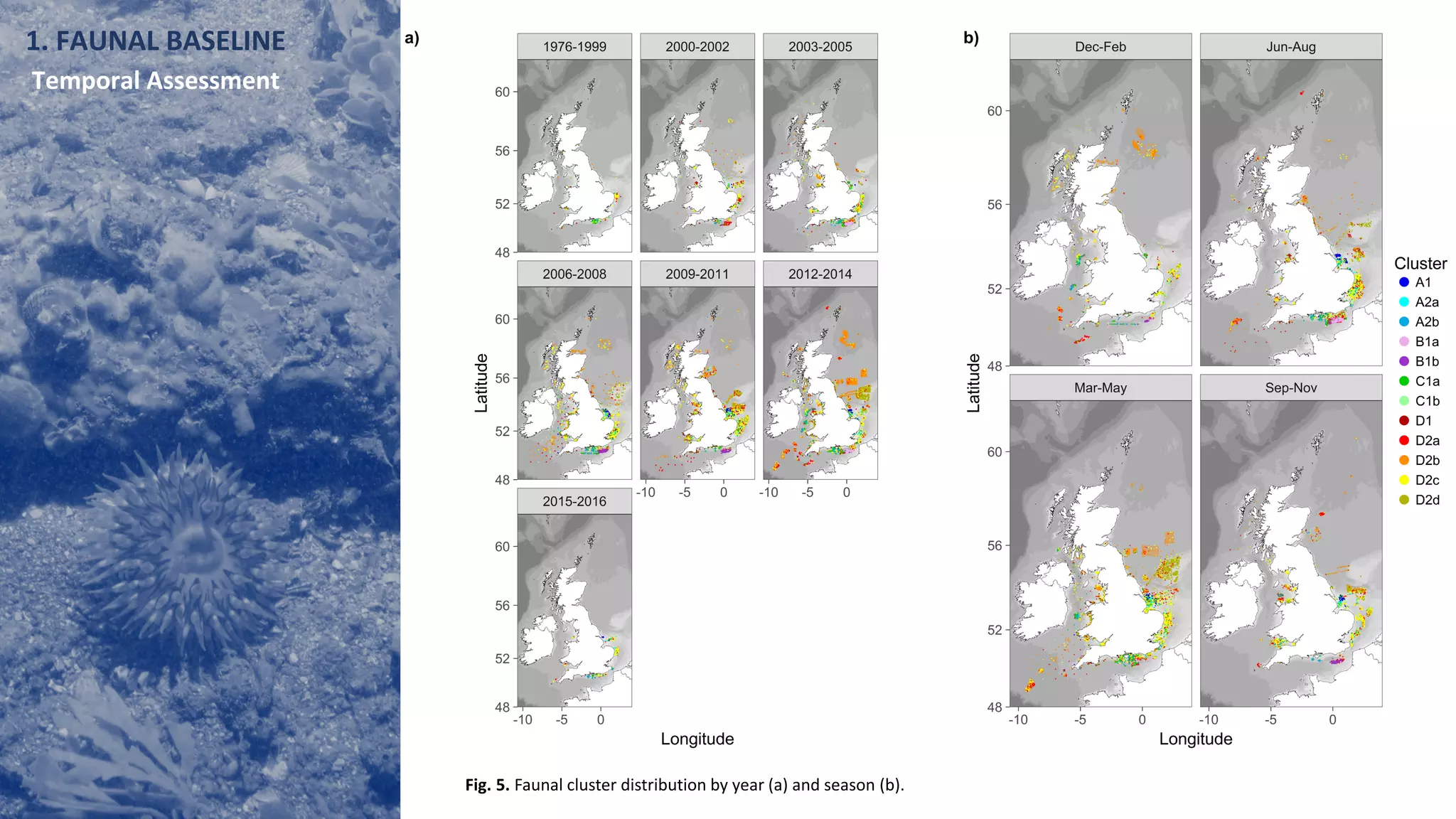 1. FAUNAL BASELINE
Temporal Assessment
Fig. 5. Faunal cluster distribution by year (a) and season (b).
 