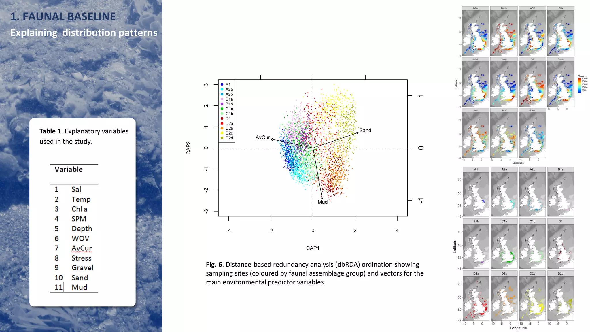1. FAUNAL BASELINE
Explaining distribution patterns
Fig. 6. Distance-based redundancy analysis (dbRDA) ordination showing
sampling sites (coloured by faunal assemblage group) and vectors for the
main environmental predictor variables.
Table 1. Explanatory variables
used in the study.
 
