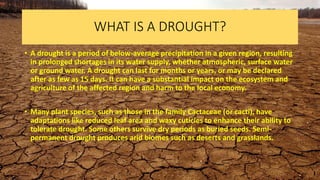 WHAT IS A DROUGHT?
• A drought is a period of below-average precipitation in a given region, resulting
in prolonged shortages in its water supply, whether atmospheric, surface water
or ground water. A drought can last for months or years, or may be declared
after as few as 15 days. It can have a substantial impact on the ecosystem and
agriculture of the affected region and harm to the local economy.
• Many plant species, such as those in the family Cactaceae (or cacti), have
adaptations like reduced leaf area and waxy cuticles to enhance their ability to
tolerate drought. Some others survive dry periods as buried seeds. Semi-
permanent drought produces arid biomes such as deserts and grasslands.
 