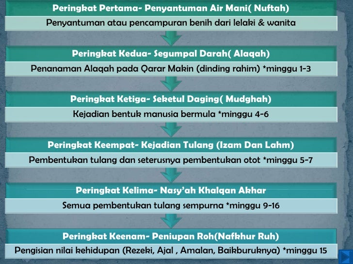 Hadis Kejadian Manusia Fitrah Kejadian manusia Hadis Kejadian Manusia Fitrah Kejadian manusia