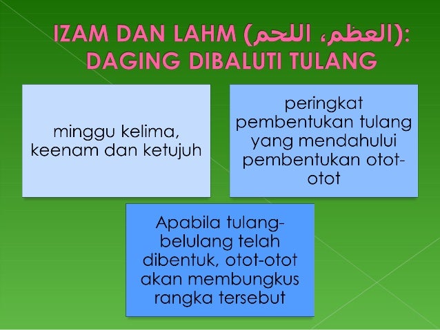 Kejadian Manusia Menurut Al Quran