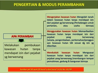 5.000 jenis anggrek, 