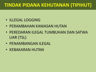 Panjang pantai ± 81.791 km 
