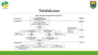 Tatalaksana
 