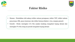 Faktor Risiko
• Demam : Disebabkan oleh adanya infeksi saluran pernapasan, infeksi THT, infeksi saluran
pencernaan, ISK, pasca imunisasi, dan infeksi lainnya (bakteri, virus, maupun parasit)
• Genetik : Risiko meningkat 2-3x bila saudara kandung mengalami kejang demam dan
meningkat 5% bila orang tua pernah mengalami kejang demam
 