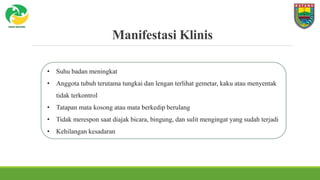 Manifestasi Klinis
• Suhu badan meningkat
• Anggota tubuh terutama tungkai dan lengan terlihat gemetar, kaku atau menyentak
tidak terkontrol
• Tatapan mata kosong atau mata berkedip berulang
• Tidak merespon saat diajak bicara, bingung, dan sulit mengingat yang sudah terjadi
• Kehilangan kesadaran
 