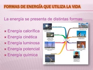 FORMAS DE ENERGÍA QUE UTILIZA LA VIDA

La energía se presenta de distintas formas:

 Energía calorífica
 Energía cinética

 Energía luminosa

 Energía potencial

 Energía química
 