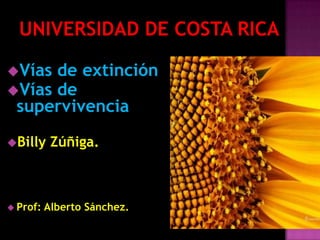 Vías de extinción
Vías de
 supervivencia

Billy     Zúñiga.



 Prof:   Alberto Sánchez.
 