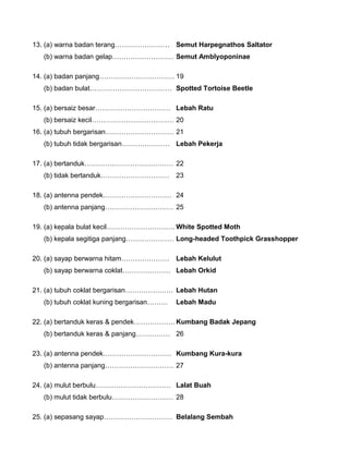 13. (a) warna badan terang…………………… Semut Harpegnathos Saltator
(b) warna badan gelap……………………… Semut Amblyoponinae
14. (a) badan panjang…………………………… 19
(b) badan bulat……………………………… Spotted Tortoise Beetle
15. (a) bersaiz besar…………………………… Lebah Ratu
(b) bersaiz kecil……………………………… 20
16. (a) tubuh bergarisan………………………… 21
(b) tubuh tidak bergarisan………………… Lebah Pekerja
17. (a) bertanduk………………………………… 22
(b) tidak bertanduk………………………… 23
18. (a) antenna pendek………………………… 24
(b) antenna panjang………………………… 25
19. (a) kepala bulat kecil………………………… White Spotted Moth
(b) kepala segitiga panjang………………… Long-headed Toothpick Grasshopper
20. (a) sayap berwarna hitam………………… Lebah Kelulut
(b) sayap berwarna coklat………………… Lebah Orkid
21. (a) tubuh coklat bergarisan………………… Lebah Hutan
(b) tubuh coklat kuning bergarisan……… Lebah Madu
22. (a) bertanduk keras & pendek………………Kumbang Badak Jepang
(b) bertanduk keras & panjang…………… 26
23. (a) antenna pendek………………………… Kumbang Kura-kura
(b) antenna panjang………………………… 27
24. (a) mulut berbulu…………………………… Lalat Buah
(b) mulut tidak berbulu……………………… 28
25. (a) sepasang sayap………………………… Belalang Sembah
 