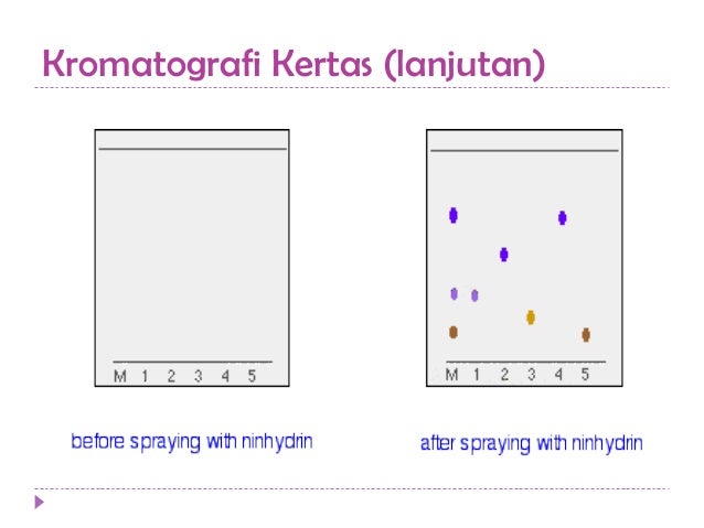 Kel 09 kromatografi Kel 09 kromatografi