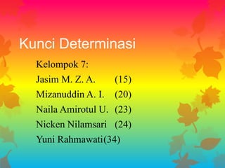 Kunci Determinasi
Kelompok 7:
Jasim M. Z. A.

(15)

Mizanuddin A. I.

(20)

Naila Amirotul U. (23)
Nicken Nilamsari (24)

Yuni Rahmawati(34)

 