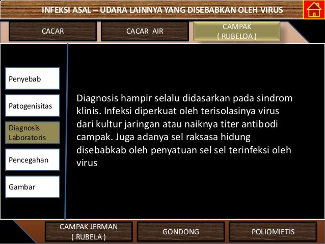 Infeksi Asal Udara