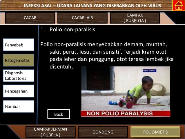 Infeksi Asal Udara