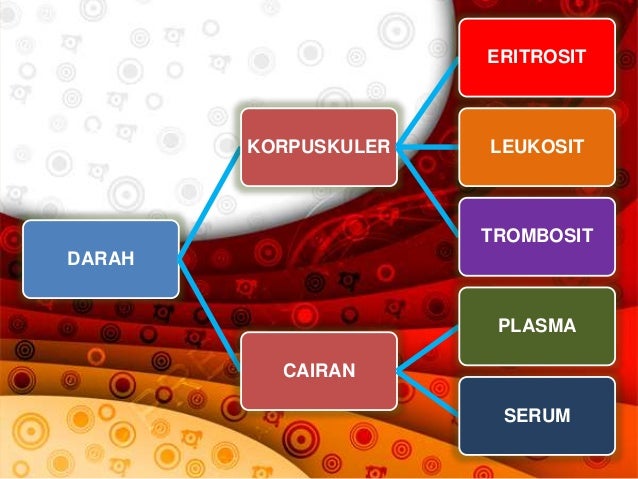Sistem Pencernaan dan Sirkulasi pada Manusia