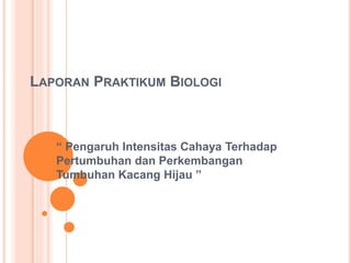 LAPORAN PRAKTIKUM BIOLOGI 
“ Pengaruh Intensitas Cahaya Terhadap 
Pertumbuhan dan Perkembangan 
Tumbuhan Kacang Hijau ” 
 