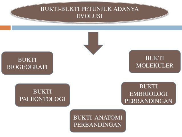 Bukti-bukti petunjuk adanya evolusi