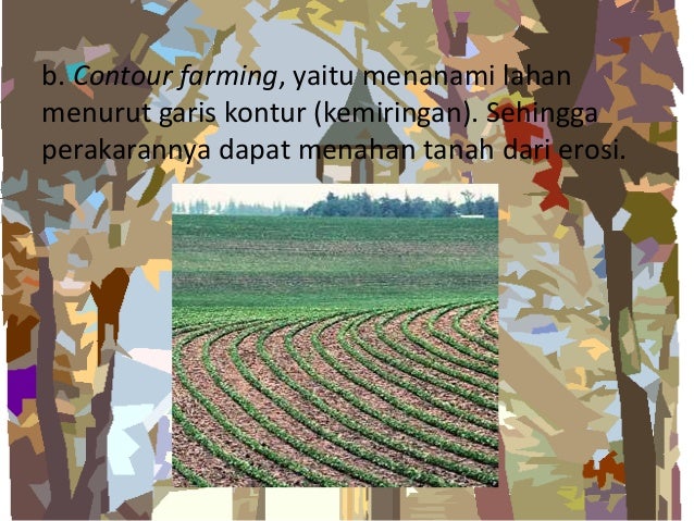 Erosi tanah dan dampaknya terhadap kehidupan