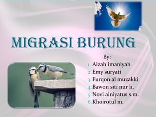 Migrasi burung
By:
1. Aizah imaniyah
2.Emy suryati
3. Furqon al muzakki
4.Bawon siti nur h.
5.Novi ainiyatus s.m.
6.Khoirotul m.
 
